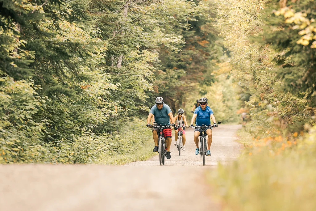 Cyclistes roulant sur une route entourée de forêt au Témiscouata.