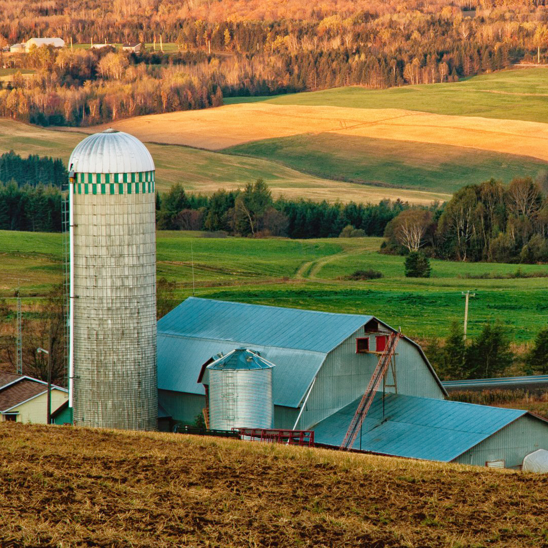 Municipalité de SaintCyprien Tourisme BasSaintLaurent