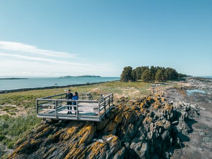 Randonnée à l'île aux Lièvres