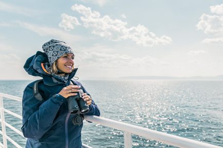 Observation des baleines, croisière AML