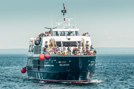 Observation des baleines, croisières AML