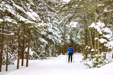 les tours rimouski