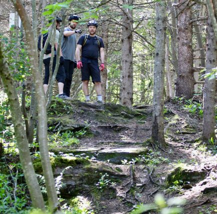 Vélo de montagne La meute